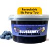 Blueberry Popping Boba 1lb Party Tub